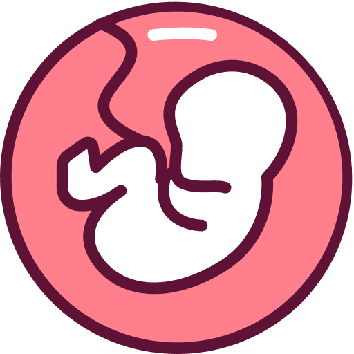Embryo embryo biology fetus icon
