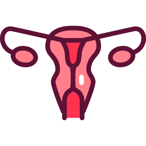 Gynecology anatomy healthcare and medical female icon