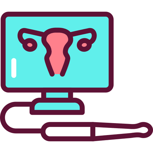Gynecology female gynecology diagnostic icon