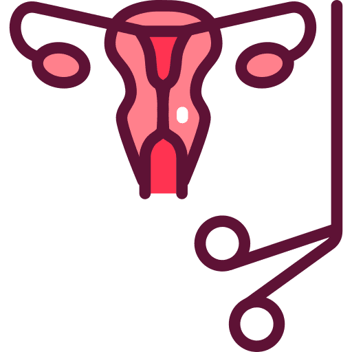 Gynecology reproductive system uterus anatomy icon Gynecology reproductive system uterus anatomy icon
