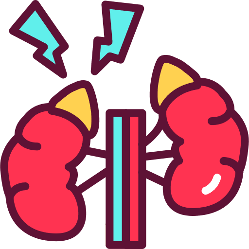 Endocrinology anatomy organ healthcare and medical icon
