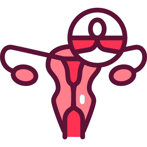 Gynecology female anatomy reproductive system icon Gynecology female anatomy reproductive system icon