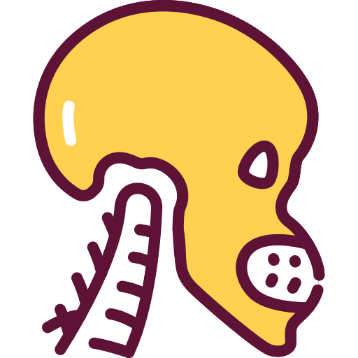 Endocrinology disease skull healthcare icon Endocrinology disease skull healthcare icon