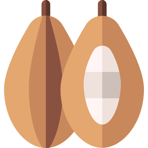 Cocoa food and restaurant vegan nature icon
