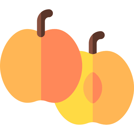 Apricot apricot food and restaurant vegan icon Apricot apricot food and restaurant vegan icon