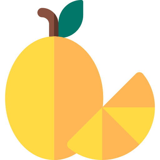 Kumquat fruit vegan healthy food icon Kumquat fruit vegan healthy food icon