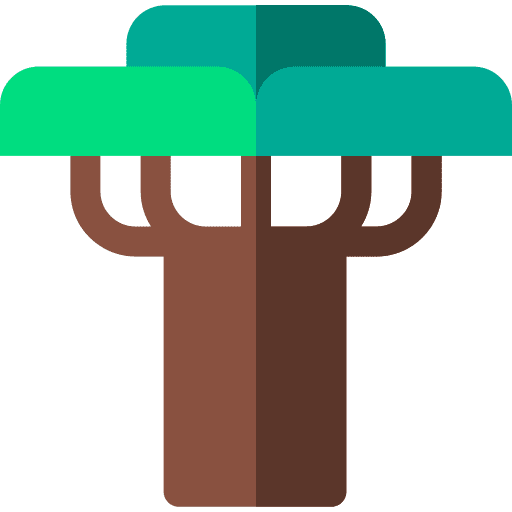 Baobab garden baobab tree icon Baobab garden baobab tree icon