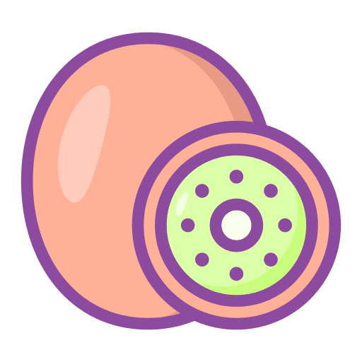 Kiwi organic kiwi food icon Kiwi organic kiwi food icon