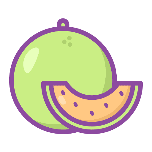 Melon healthy diet food icon Melon healthy diet food icon