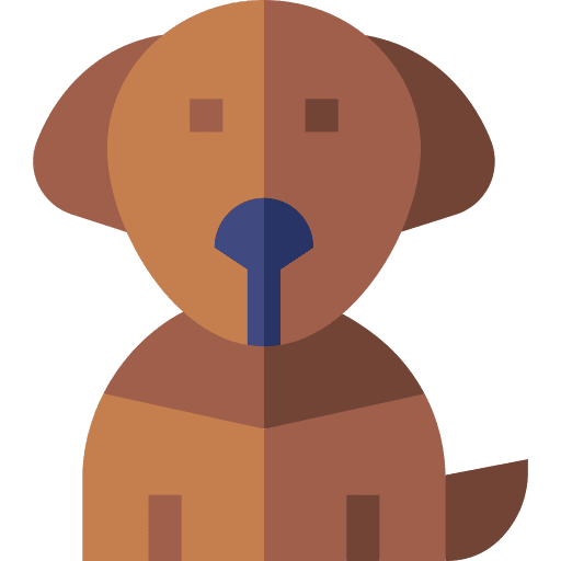 Dog pet mammal animal kingdom icon Dog pet mammal animal kingdom icon