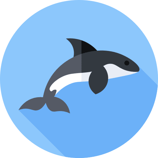 Killer whale animal kingdom nature wild life icon