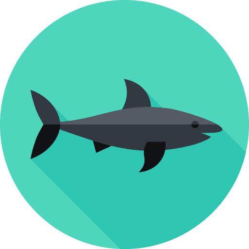 Shark fish wildlife shark icon