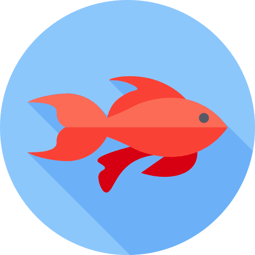 Carp fold koi paper icon Carp fold koi paper icon