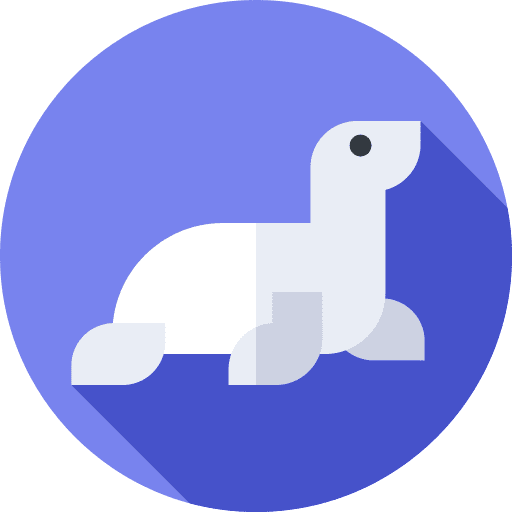 Sea lion animals zoo animal kingdom icon Sea lion animals zoo animal kingdom icon