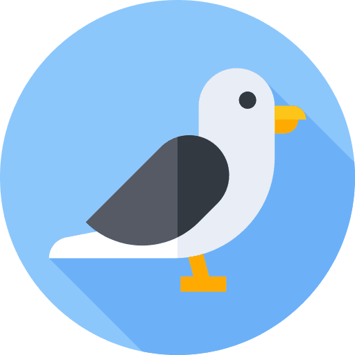 Seagull animals animal kingdom wildlife icon Seagull animals animal kingdom wildlife icon