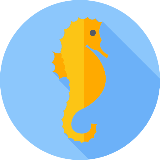 Seahorse seahorse animal kingdom aquatic icon Seahorse seahorse animal kingdom aquatic icon