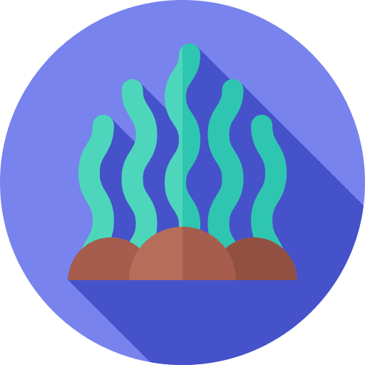 Seaweed nature algae aquarium icon Seaweed nature algae aquarium icon