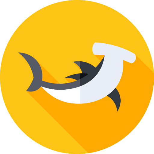 Hammerhead fish ocean fish animals icon Hammerhead fish ocean fish animals icon