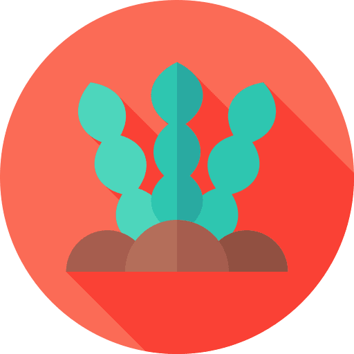 Seaweed aquatic sea life seaweed icon Seaweed aquatic sea life seaweed icon