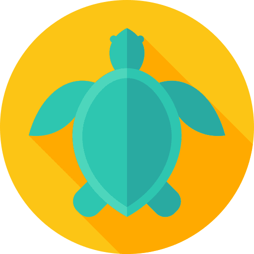 Tortoise wild wild life animal kingdom icon Tortoise wild wild life animal kingdom icon