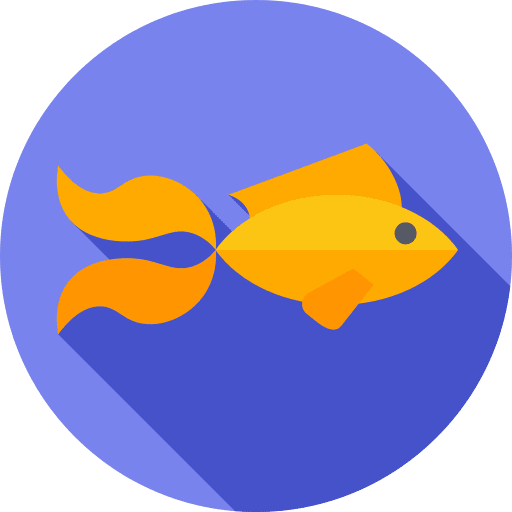 Betta fish fish aquatic animals icon Betta fish fish aquatic animals icon