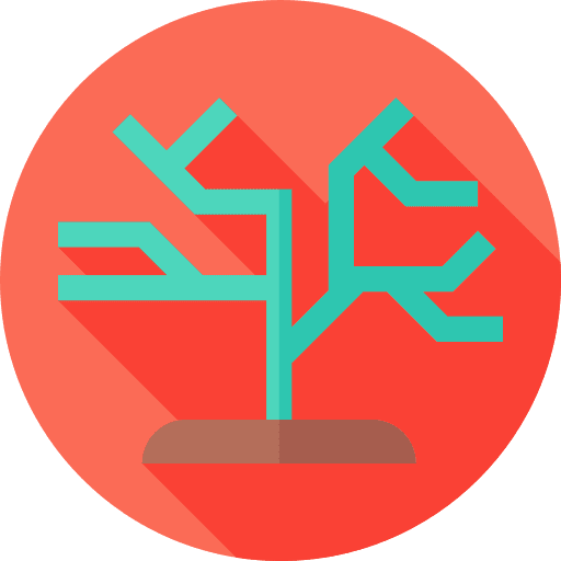 Coral aquarium invertebrate animals icon Coral aquarium invertebrate animals icon