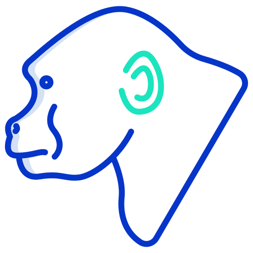 Gorilla gorilla animals wild life icon Gorilla gorilla animals wild life icon