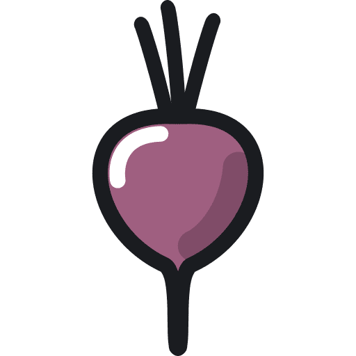Beet vegan organic beet icon