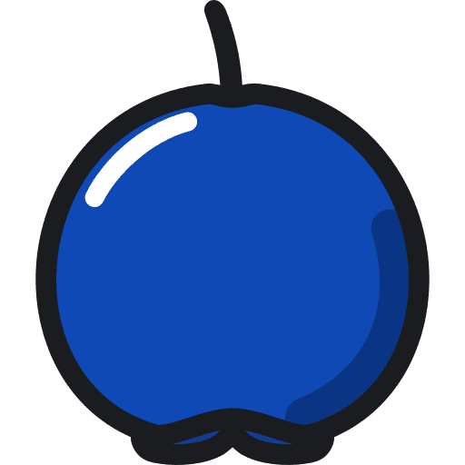 Blueberry diet vegetarian organic icon
