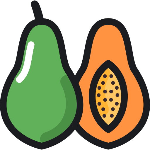 Papaya organic diet papaya icon