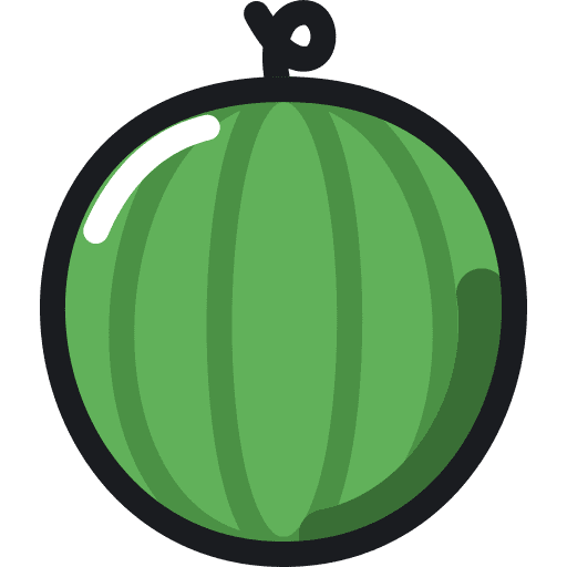 Watermelon fruit organic watermelon icon