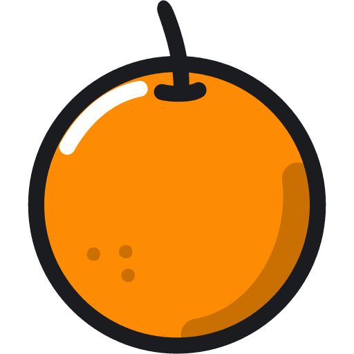 Orange vegan healthy food diet icon Orange vegan healthy food diet icon