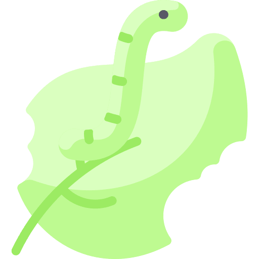 Carterpillar carterpillar insect leaf icon