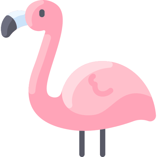 Flamingo flamingo animal kingdom wildlife icon