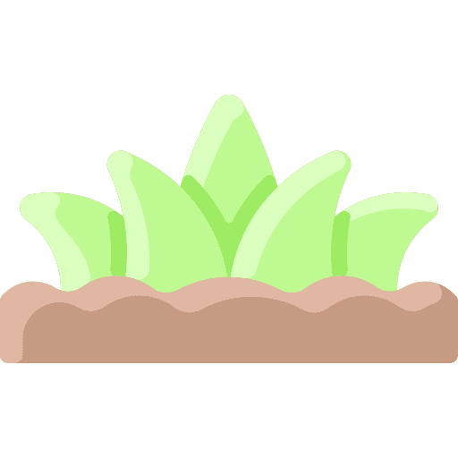 Grass grass leaves farming and gardening leaves icon
