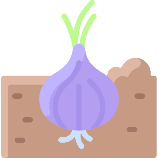 Onion healthy vegan onion icon