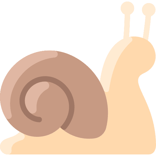 Snail animals snail wildlife icon