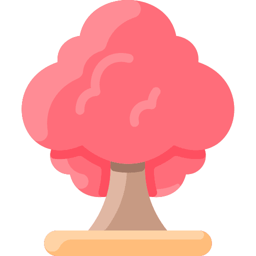 Maple nature forest maple icon