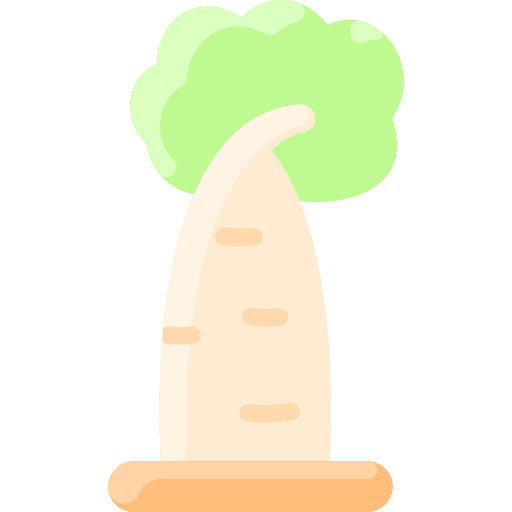 Baobab environment botanical baobab icon