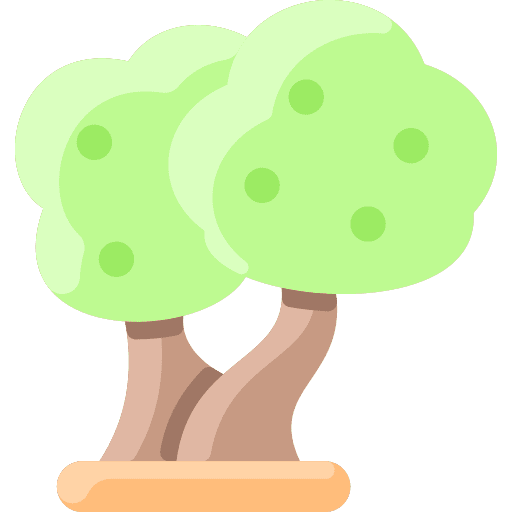 Olive tree olive tree wood nature icon