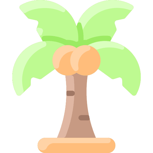 Palm palm coconut botanical icon
