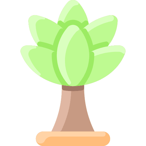 Palm tree forest palm tree botanical icon