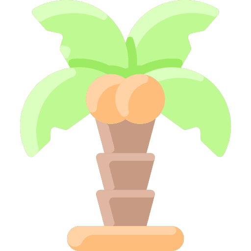 Palm tree palm environment icon