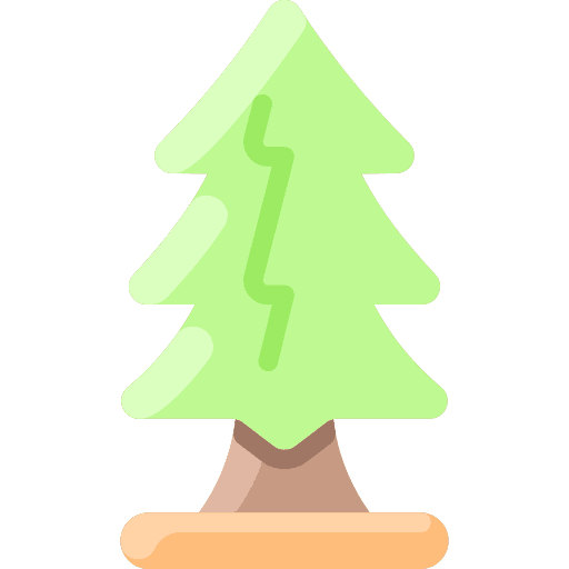 Pine tree environment pine tree botanical icon