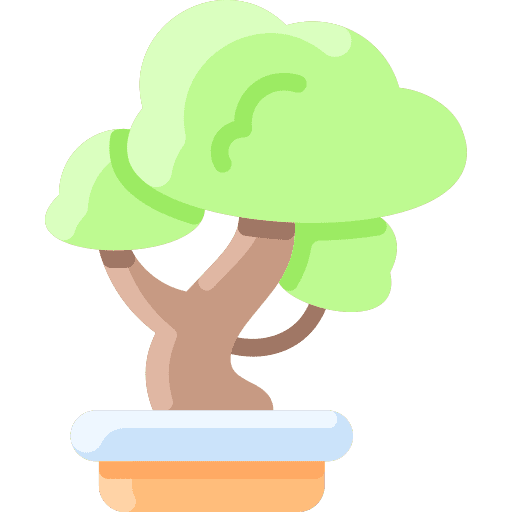 Bonsai botanical tree bonsai icon
