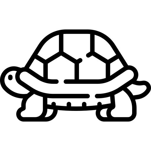 Turtle animal kingdom zoology pets icon