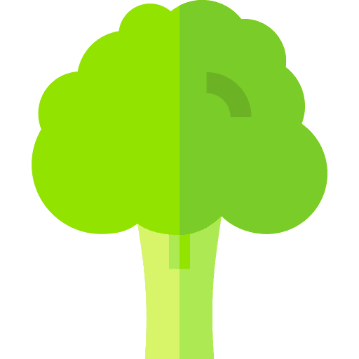 Broccoli vegetarian vegetable food and restaurant icon Broccoli vegetarian vegetable food and restaurant icon