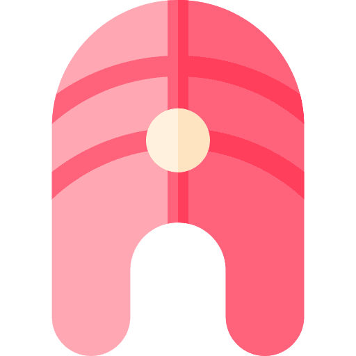 Salmon healthy food salmon healthy icon Salmon healthy food salmon healthy icon
