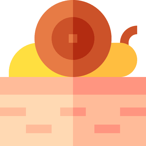 Snail skin snail massage icon