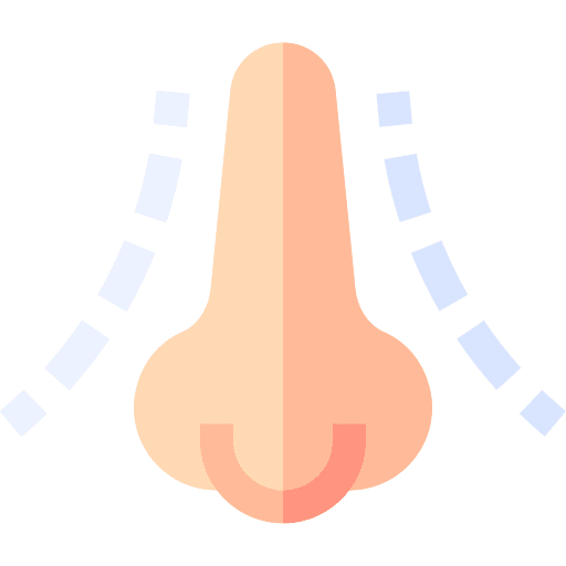 Nose skin skincare beauty icon Nose skin skincare beauty icon